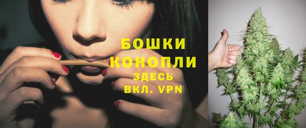не бодяженный Каменск-Шахтинский