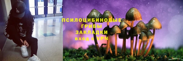 кокаин перу Каменногорск