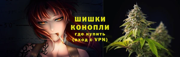 прущие крисы Каменка