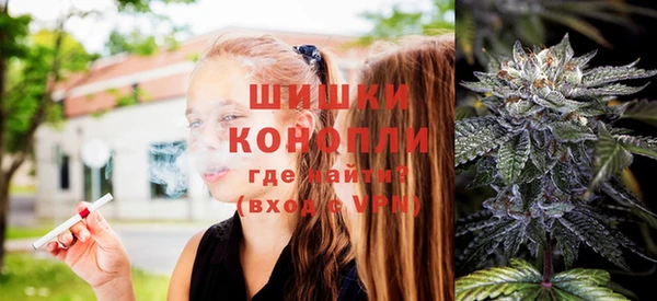 прущие крисы Каменка